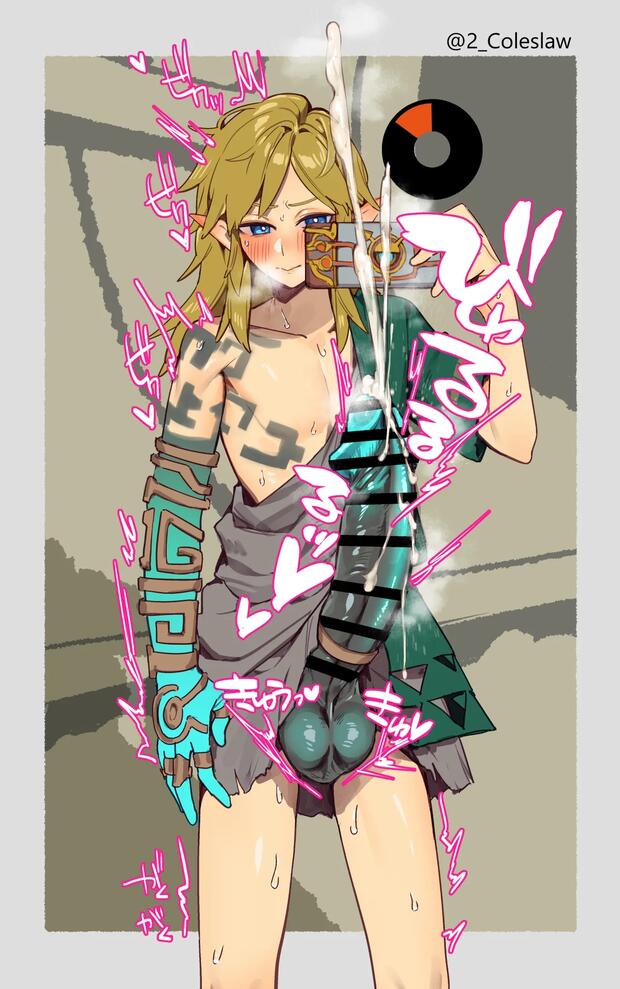 Link's Wild Yaoi Anal Adventures in The Legend of Zelda with Dark-Skinned Elves and Cyborg Teammates - pic 5