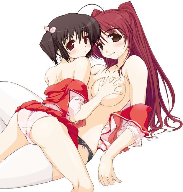 Charlotte Dunois' Infinite Stratos Lust vs Tamaki Kousaka's Toheart2 Desires: Who Tops the Hentai Charts? - pic 2