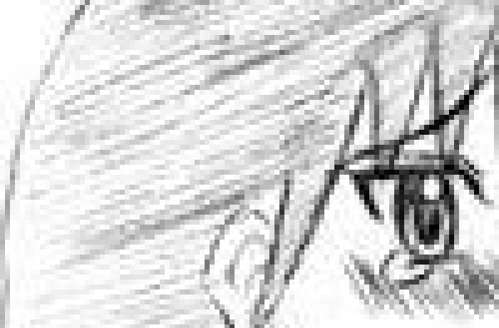 Naru Narusegawa's Wild Love Hina Desires vs Manaka Komaki's Seductive ToHeart2 Temptations: Big Breasts, Netorare, and Mind Control Ecstasy