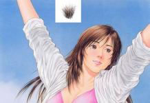 Saeko Nogami Hentai Guide: City Hunter MILF's Big Breasts & Threesome XXX