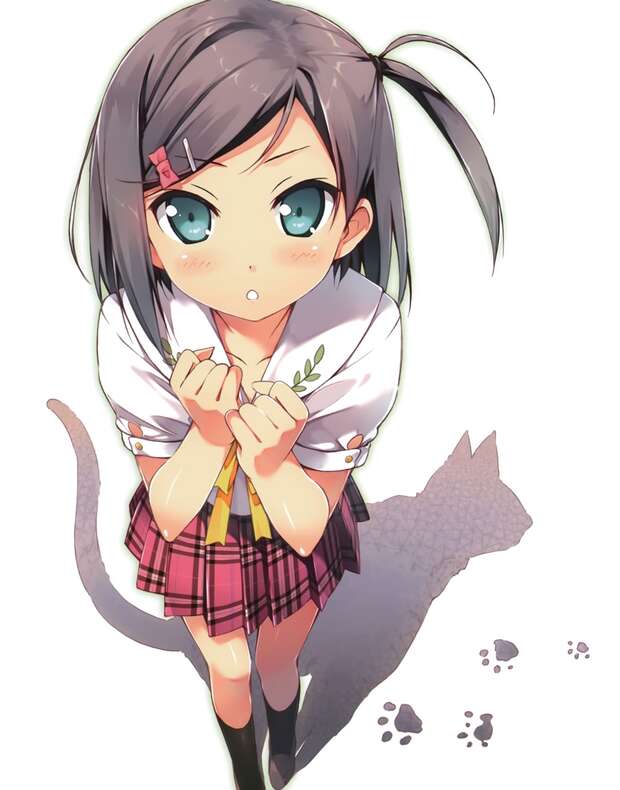 Tsukiko Tsutsukakushi Hentai Guide: Lewd Secrets from Hentai Ouji to Warawanai Neko - pic 2