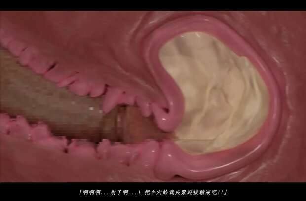 Wang Yuanji Hentai Guide: Dynasty Warriors XXX Erotic Parodies - pic 4