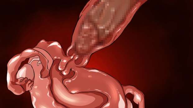 Sylphy Hentai Exposed: Erotic Guide to Amagi Brilliant Park's Lewd Elf Adventures - pic 7