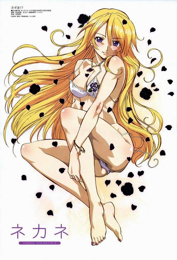 Nodoka Miyazaki Hentai: Erotic Secrets from Mahou Sensei Negima - pic 1