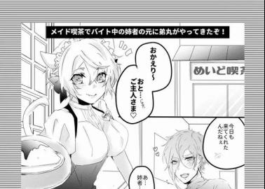 Hizamaru Hentai Uncovered: Yaoi Incest Thrills in Touken Ranbu XXX Guide