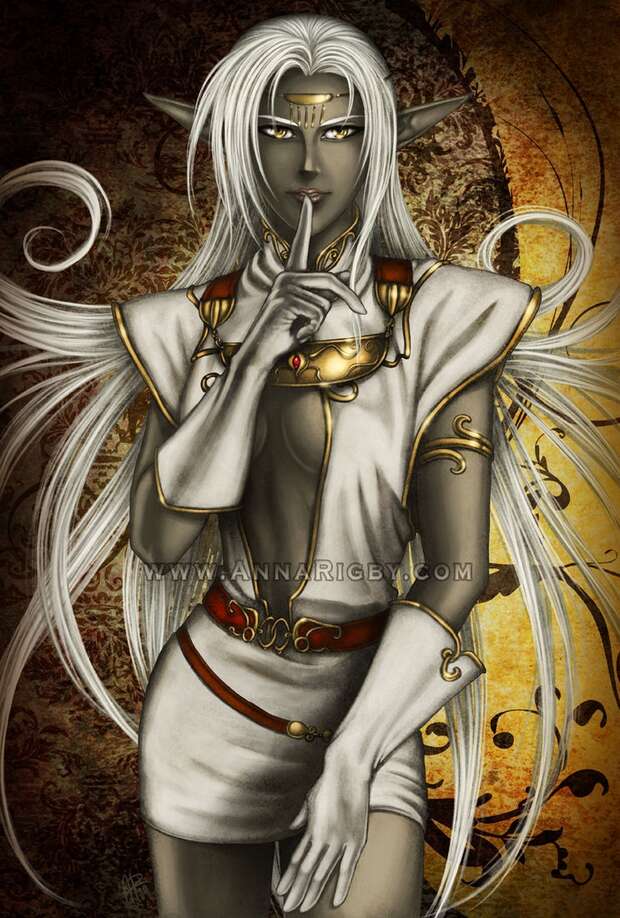 Pirotess Hentai: Dark Elf Seduction & XXX Tales from Record of Lodoss War - pic 2