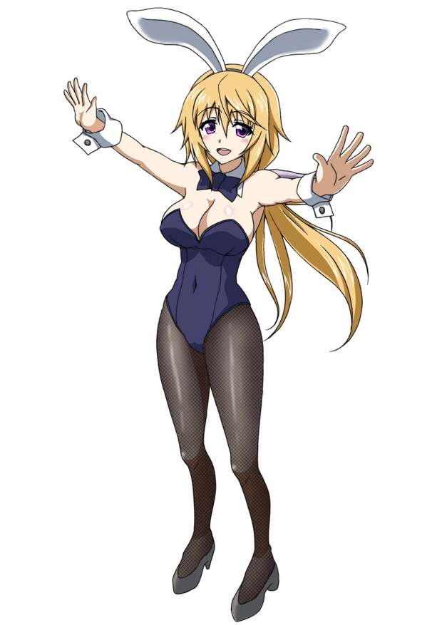 Laura Bodewig Hentai Exposed: Infinite Stratos XXX Scenes and Erotic Secrets pic 4