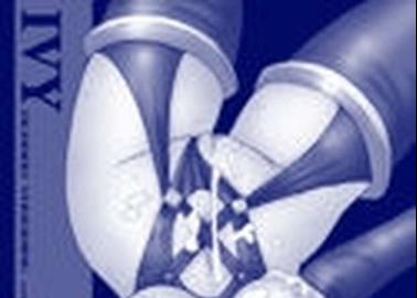 Elena Hentai Uncovered: Street Fighter's Dark-Skinned Erotic Warrior in XXX Parodies