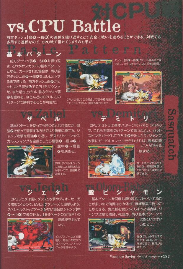 Darkstalkers Hentai: Ultimate Guide to Succubus Seduction and Fights - pic 9