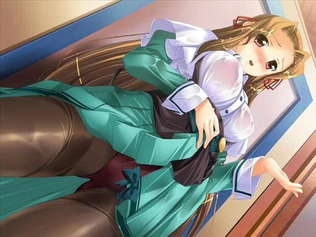 He Is My Master Hentai: Full Guide to Maid Erotica & Characters - pic 8