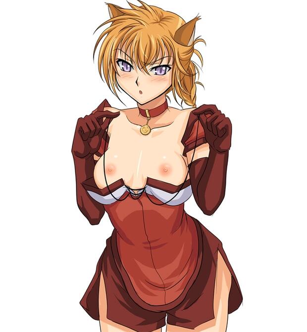 Super Robot Wars Hentai: Complete Erotic Character Guide & Wiki - pic 7