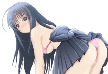 Ane Doki Hentai: Complete Guide to Incestuous School Desires