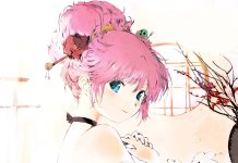 Rance Hentai: Ultimate Guide to Erotic Parodies and Scenes