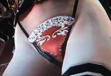 The Onechanbara Hentai: Complete Wiki, Erotic Guide & Fan Analysis