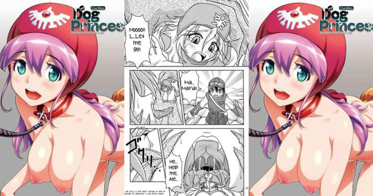 Dragon Quest II Hentai: Full Character Guide & Erotic Breakdown