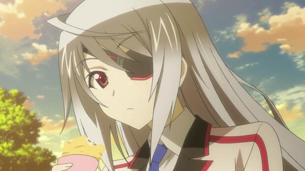 Infinite Stratos Hentai: Full Character Guide & Erotic Breakdown - pic 2