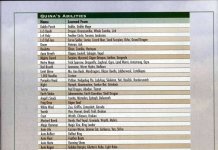 Final Fantasy IX Hentai: Ultimate Character Erotica Guide