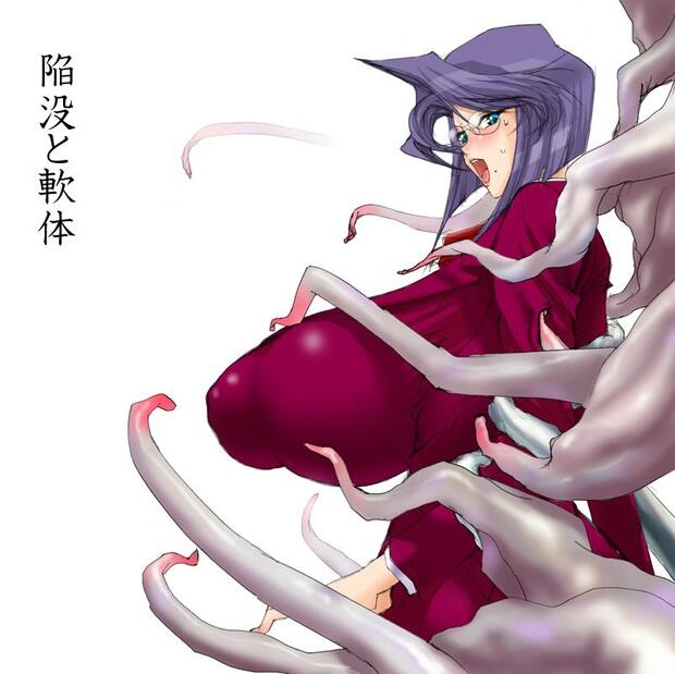 Sonic Soldier Borgman Hentai: Full Character Erotica Guide & Wiki - pic 4