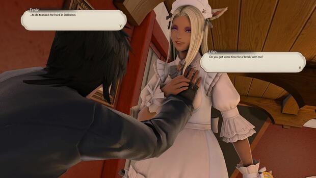 Final Fantasy XIV Hentai: Ultimate Wiki & Erotic Guide - pic 5