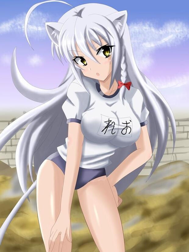 Dog Days Hentai: Ultimate Guide to Furry Ecstasy and Forbidden Pleasures - pic 2