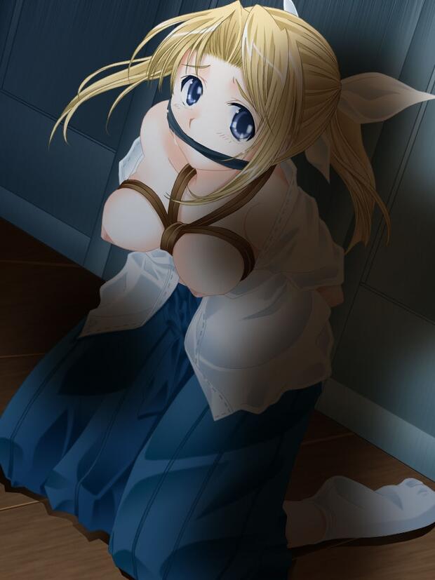 To Heart Hentai: Complete Erotic Wiki & Character Guide - pic 5